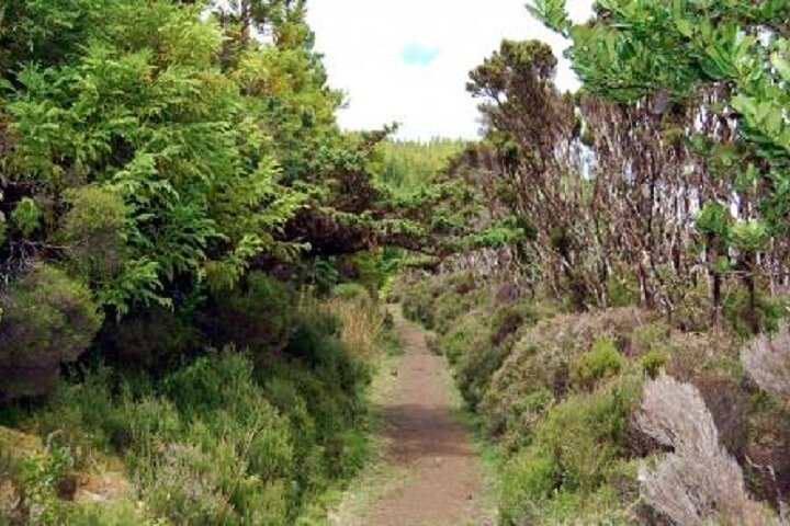 Hike 3 hours Inland Terceira Island - Photo 1 of 8