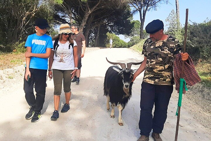 Cheese Walk & Atelier with a Goat Shepherd in Aoleão - Photo 1 of 22