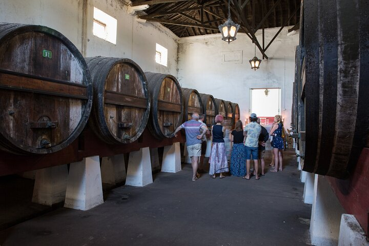 Historic Winery Tour and Tasting in Bombarral - Photo 1 of 7