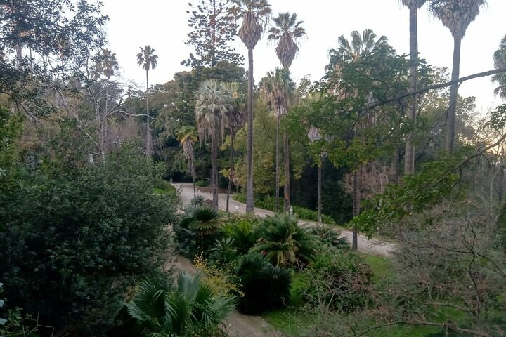 View of Lisbon's botanical garden