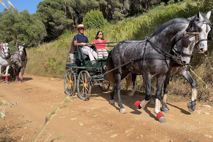  Horse Carriage Tour on the Mountain in Palmela - Photo 1 of 13