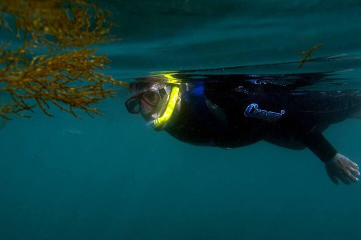 Kayak and Snorkeling Adventure in Arrabida - Photo 1 of 8