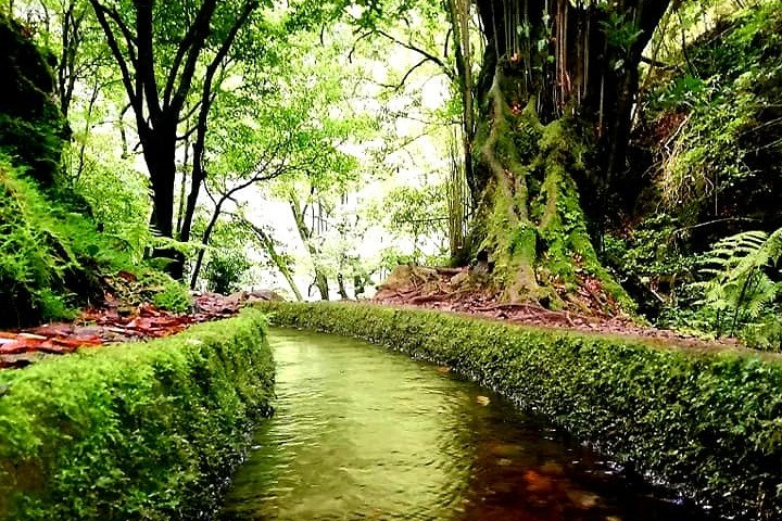 Kings Levada - São Jorge - Photo 1 of 12