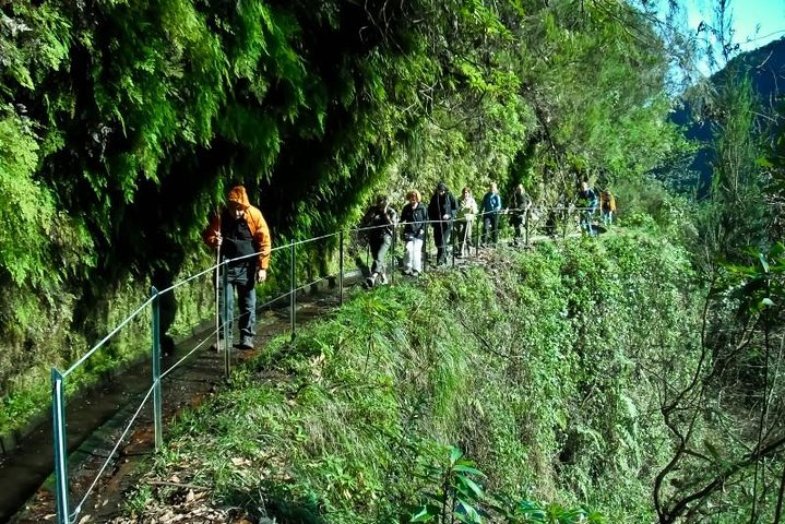 Kings Levada