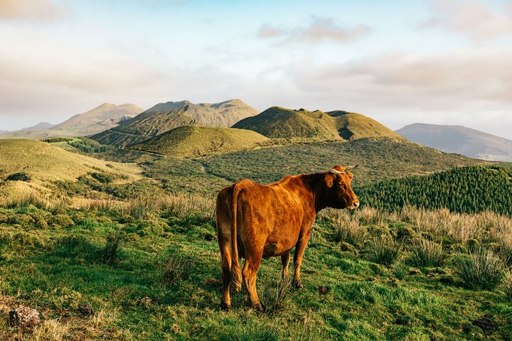 Lakes and Volcanoes Private Tour (Full Day) - Photo 1 of 14