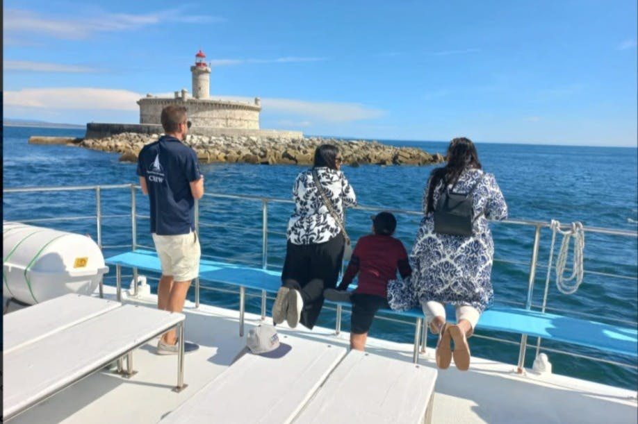 Lisbon: Guided Dolphin Watching Cruise + Open Bar - Photo 1 of 6