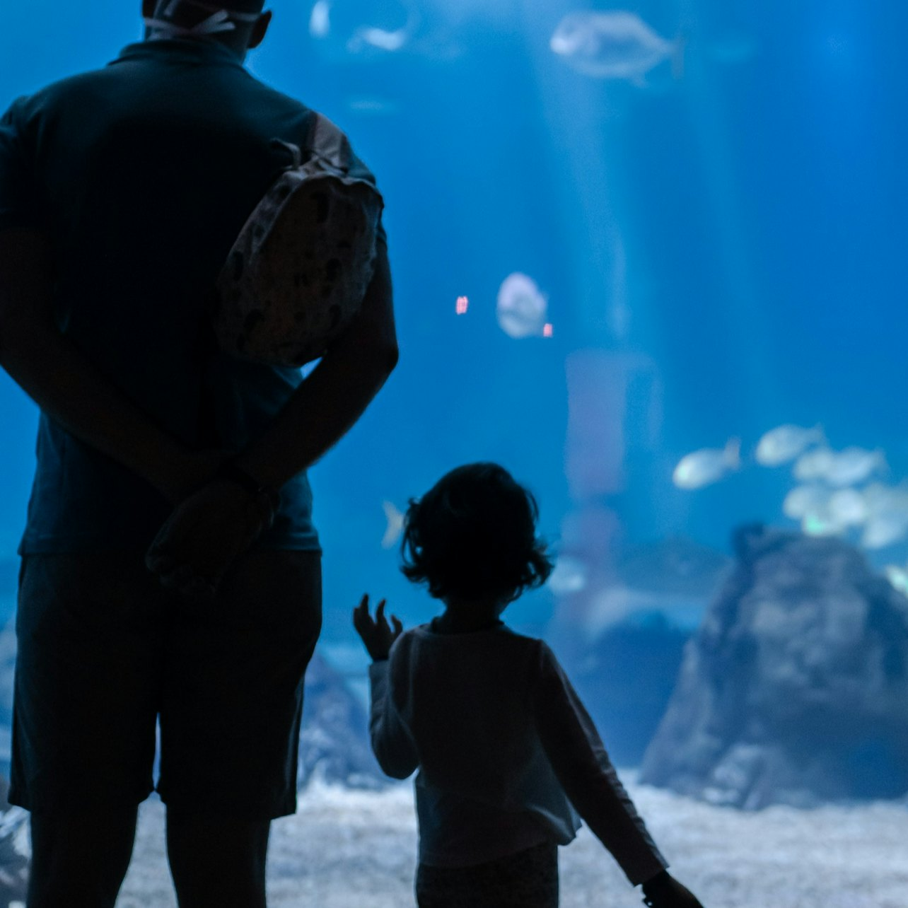 Oceanário de Lisboa: Private Guided Tour - Photo 1 of 6