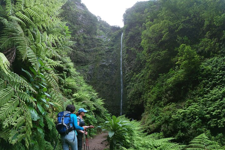 Caldeirão Verde Levada (PR 9) - Guided Madeira Levada Walk - Photo 1 of 5