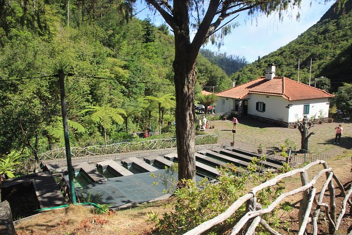 Ribeiro Frio Forest Park is located in Santana, Madeira, in the heart of Laurissilva.