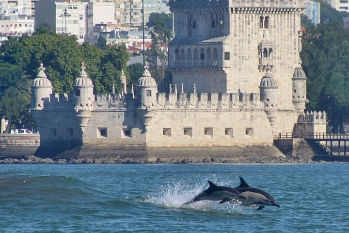 Experience playful dolphins leaping through the water framed by Lisbon's historic Torre de Belém blending marine life with stunning architecture in a memorable adventure.