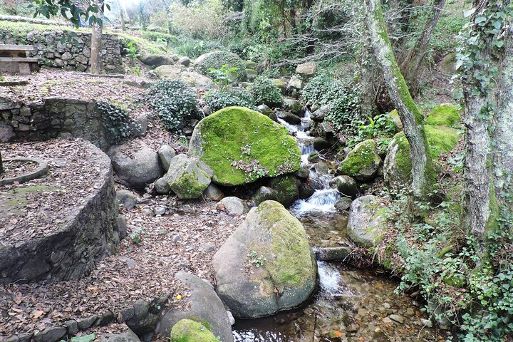 Private Monchique Guided Forest Hike w/Medronho Tasting - Photo 1 of 9