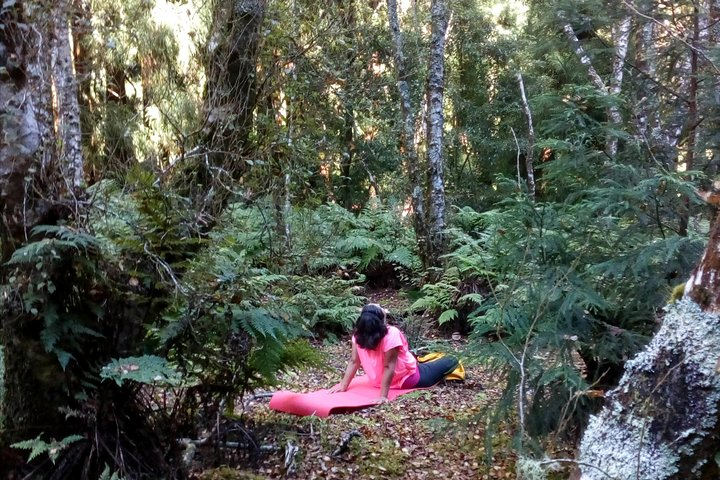 Deep immersion in the heart of Azorean Nature