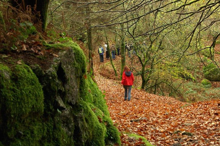 Nozzle Horn Protected Landscape Area - Photo 1 of 9