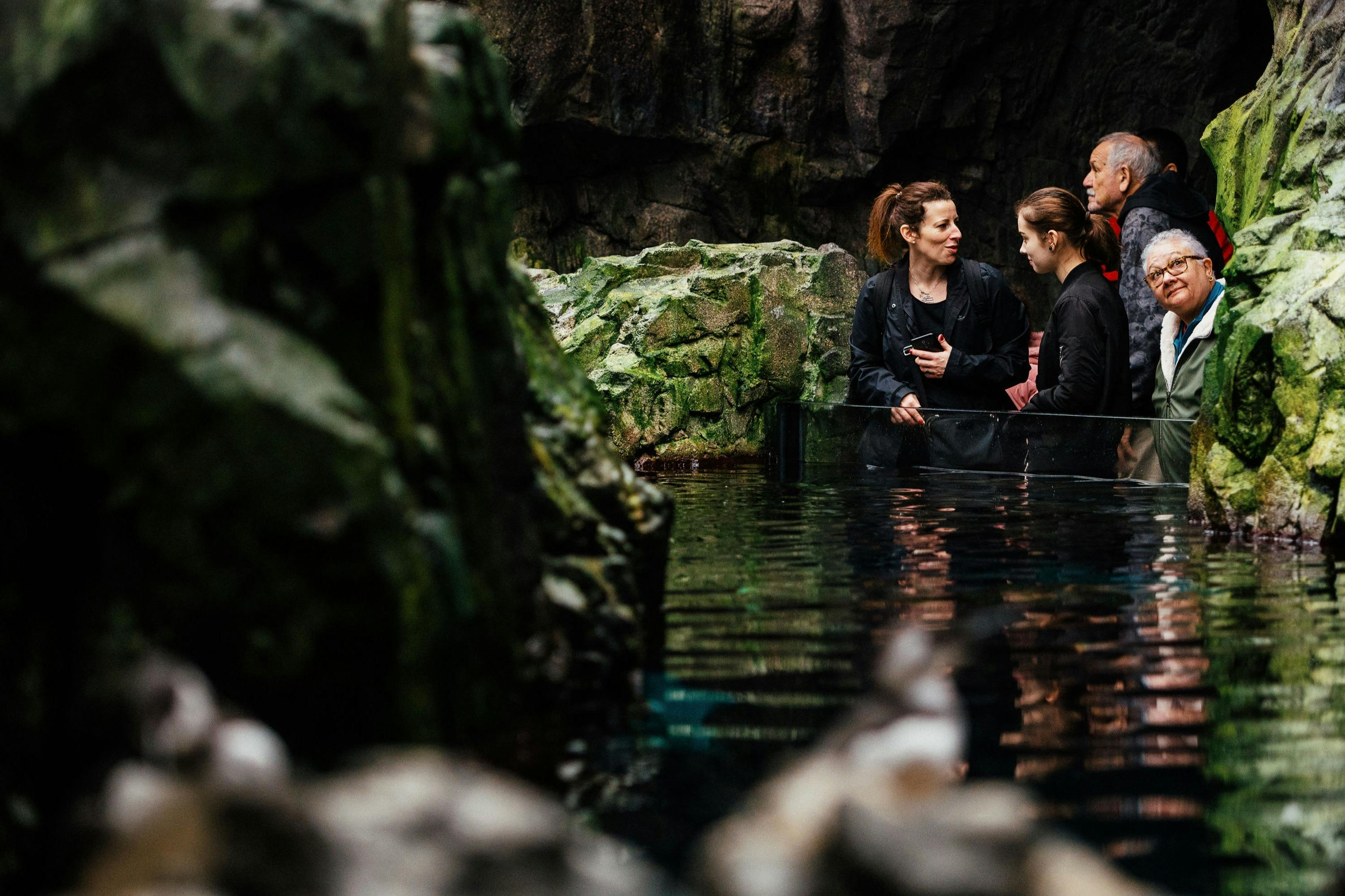 Oceanário de Lisboa: Guided Tour - Photo 1 of 8