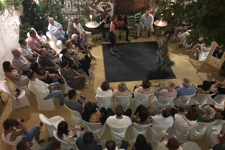 Ayamonte: Live-Flamenco-Show with TAPAS Tablao La Puerta Ancha - Photo 1 of 25
