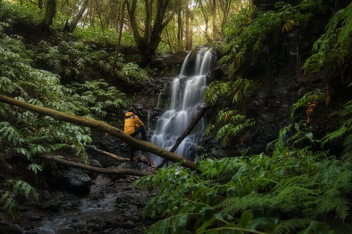 PHOTO TOUR (Full Day Private Tour- Sunrise to sunset) - Photo 1 of 25