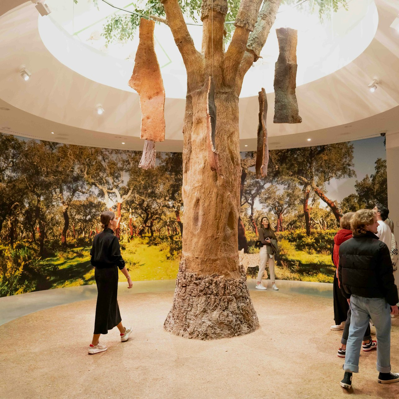 WOW Porto: Planet Cork Entry Ticket - Photo 1 of 8