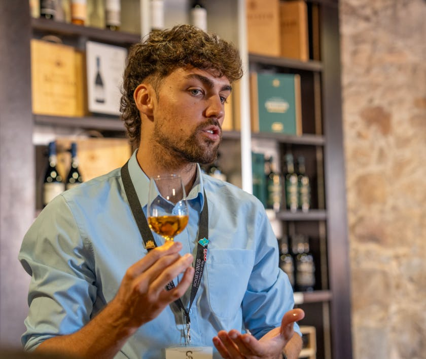 Porto City Tour Half-Day: Guided Visit with Wine Cellar and Tastings - Photo 1 of 11
