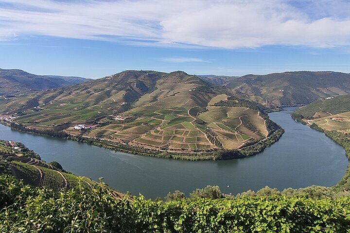 Signature Moment in Pinhão : Private Guide, Wine Tasting & Cruise - Photo 1 of 10