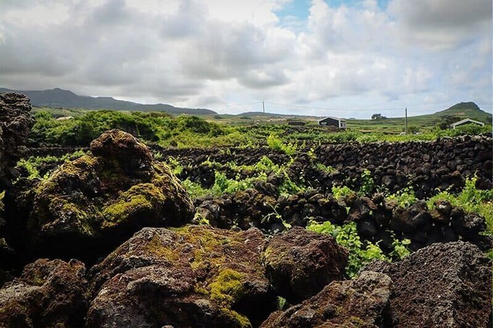 Terceira Island: Full-Day Tour + Wine Tasting Experience - Photo 1 of 5