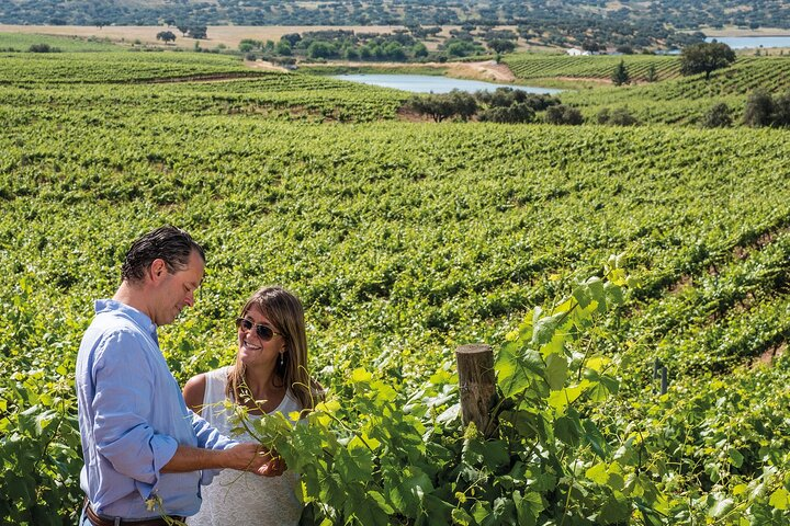 Private Tour: 2 days to discover the best of Alentejo wine route - Photo 1 of 25
