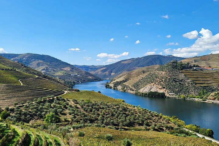 Private Douro Valley Tour (2 wineries + boat) - Photo 1 of 4