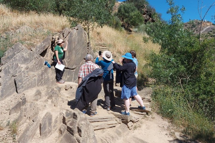 Private Douro Valley & Foz Côa Tour with Rock Art and Pinhão - Photo 1 of 22