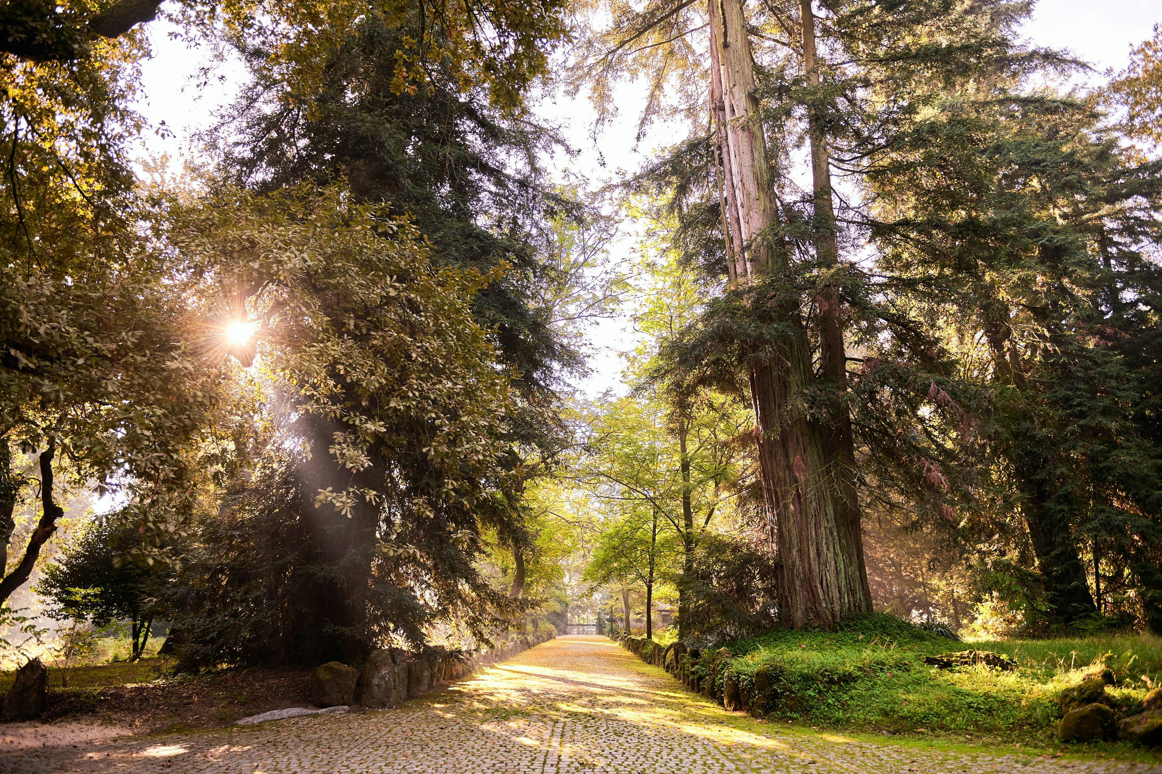 Quinta da Aveleda: Estate Tour with Green Wine Tasting - Photo 1 of 4