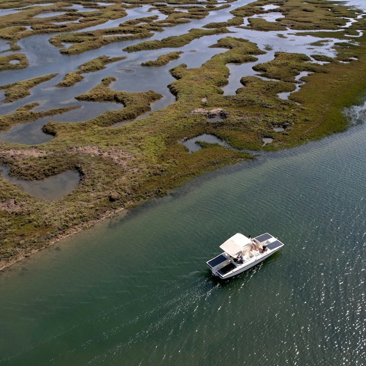 Ria Formosa: Solar Eco Boat Tour from Faro - Photo 1 of 4
