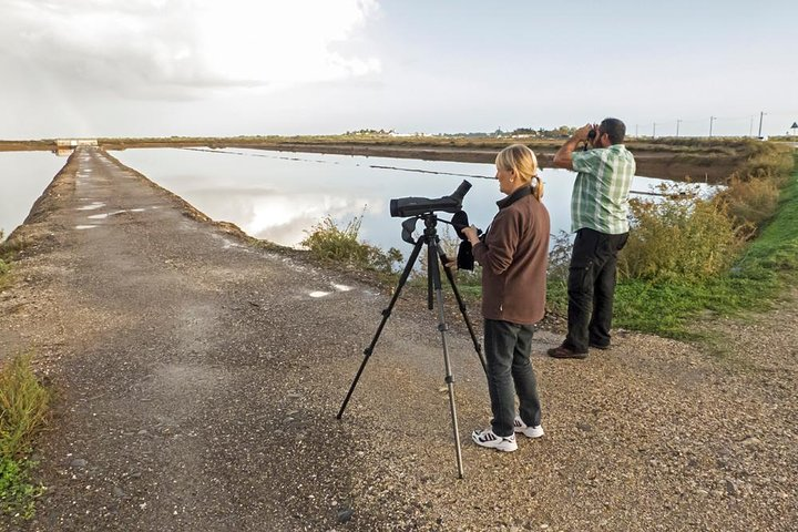 Ria Formosa Natural Park 8 days Tavira - Photo 1 of 16