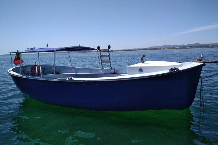 Our "Venture"