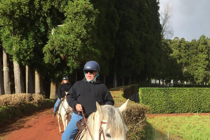 ride a volcano - go to the gardens in the woods - Photo 1 of 8