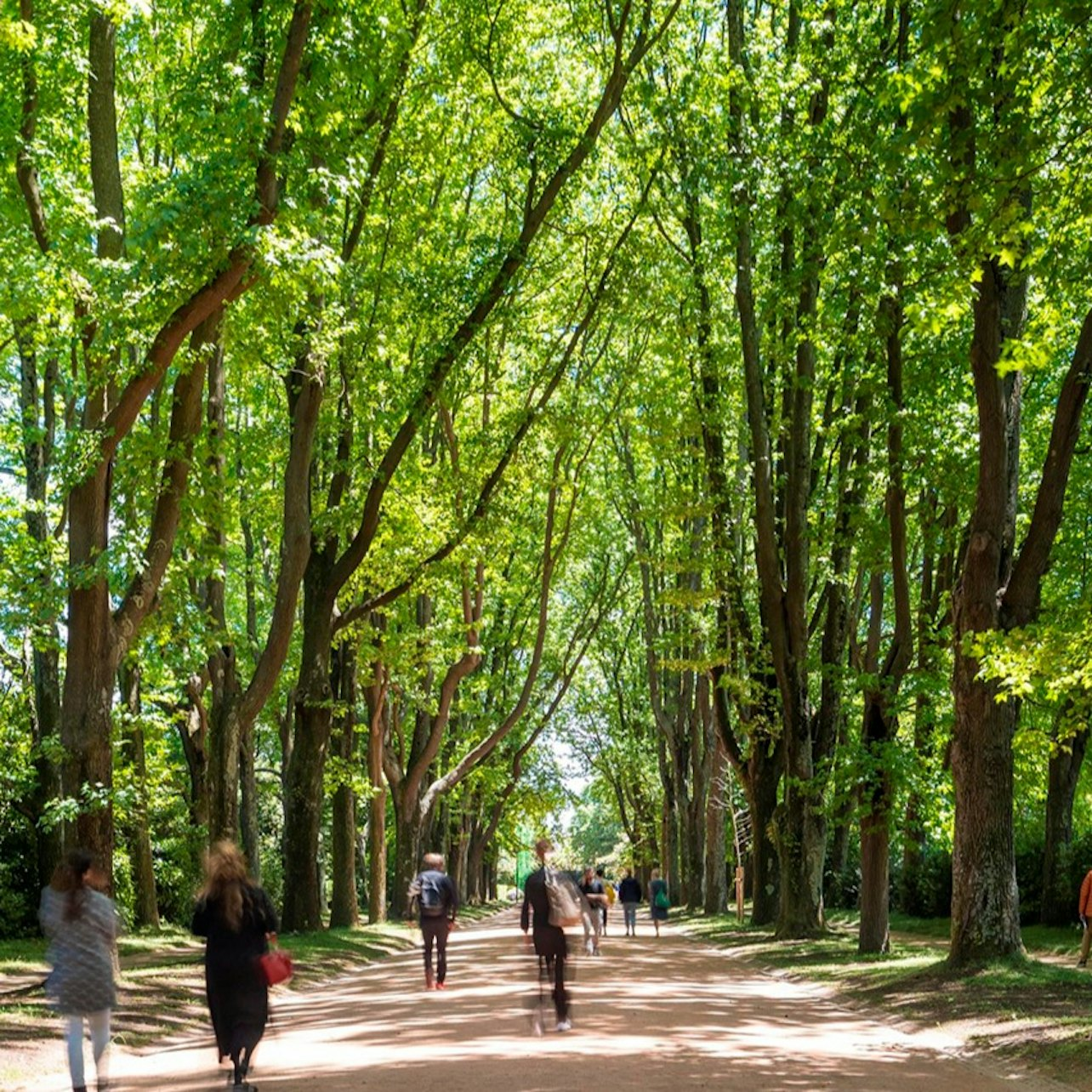 Serralves Park: Entry Ticket and Treetop Walk - Photo 1 of 13