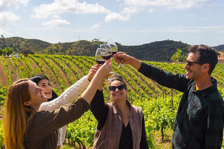 Albufeira Wine Tasting: Boutique Winery Tour & Historic Silves - Photo 1 of 25