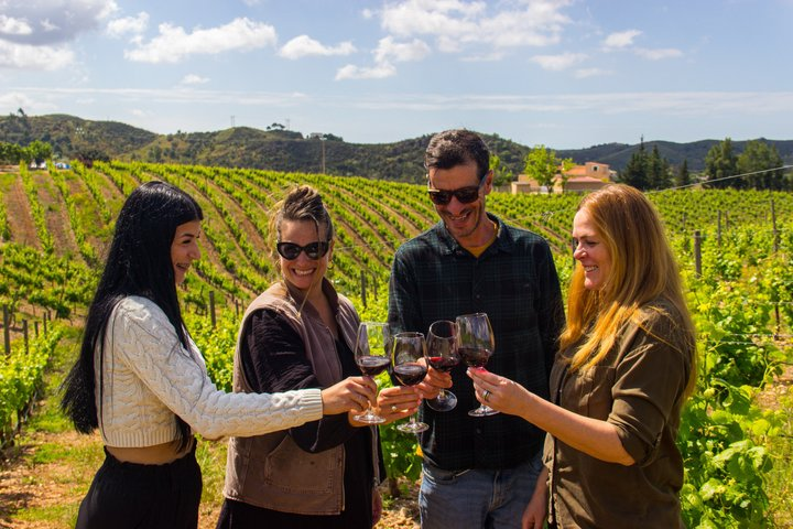 Albufeira Wine Tasting: Boutique Winery Tour & Historic Silves - Photo 1 of 10