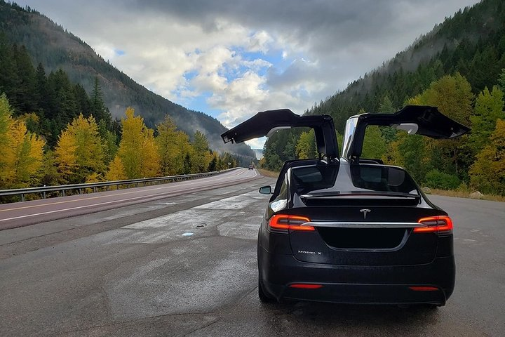 Tesla Model X Transfers - Photo 1 of 7