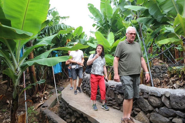 The best of SouthWest - open top roof 4x4 experience - Photo 1 of 11