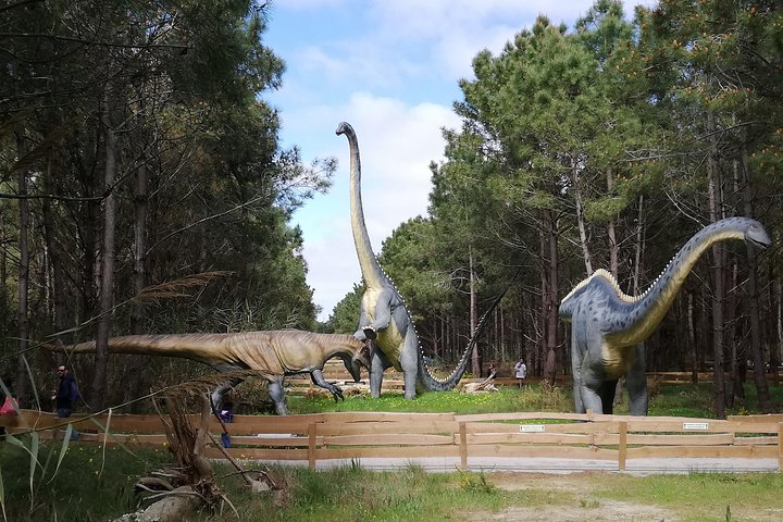 Experience the wonder of life-size dinosaur models set amidst lush greenery offering a glimpse into the prehistoric world while walking along paths that showcase Earth's evolution.