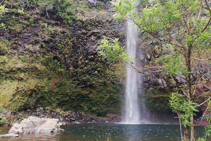 The Lakes Walk  - Photo 1 of 12