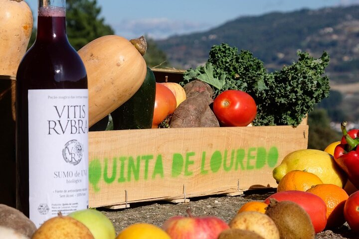 Traditional Cooking Class, Farm Tour & Lunch in the Douro Valley - Photo 1 of 25