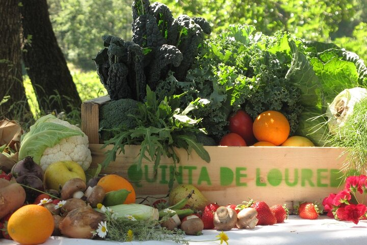 Experience the lushness of organic farming with fresh local ingredients at the Quinta. Discover the essence of Portuguese cuisine amidst nature’s bounty while honing your culinary skills.