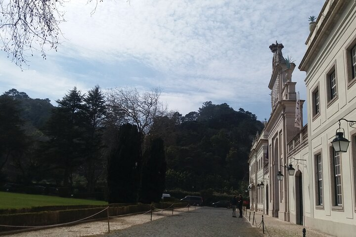 Transfer & Micro Tour of Porto - From Lisbon & Vice versa - Photo 1 of 7