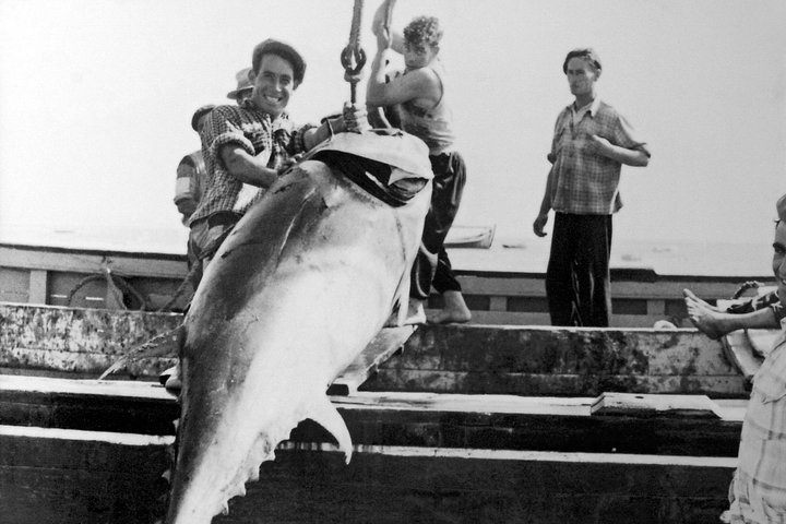 Portrait of tuna fishing in Tavira, explained at the Tuna Museum included in this tour of Tavira.