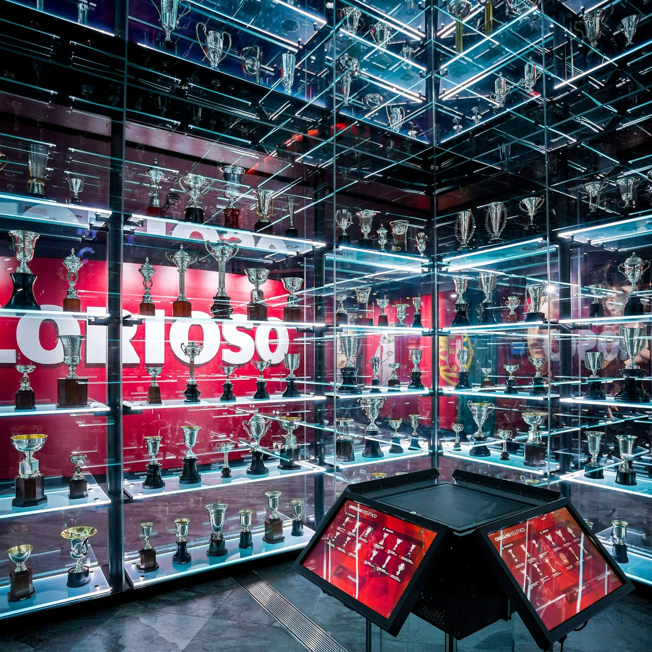 Benfica Museum: Entry Ticket + Scarf Offer - Photo 1 of 6