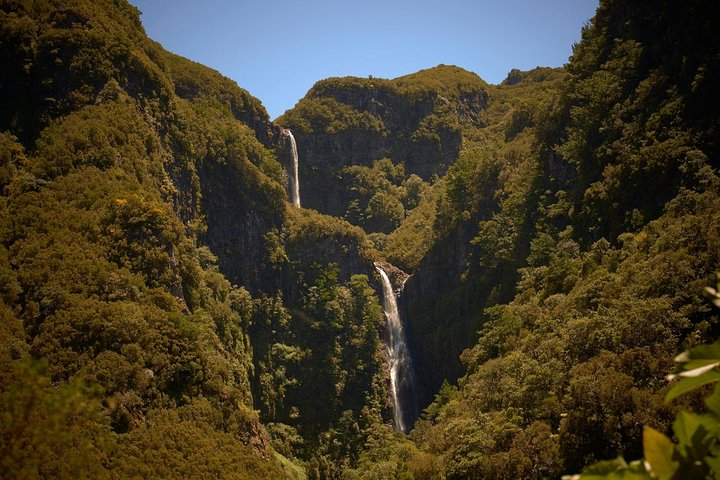 Walk 25 Fonts - No words needed - Photo 1 of 20