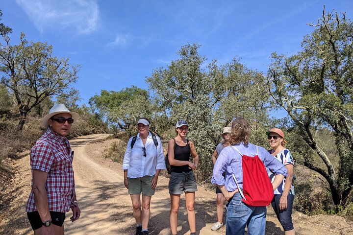 Walk, Hike and Eat for Private Group - Photo 1 of 7