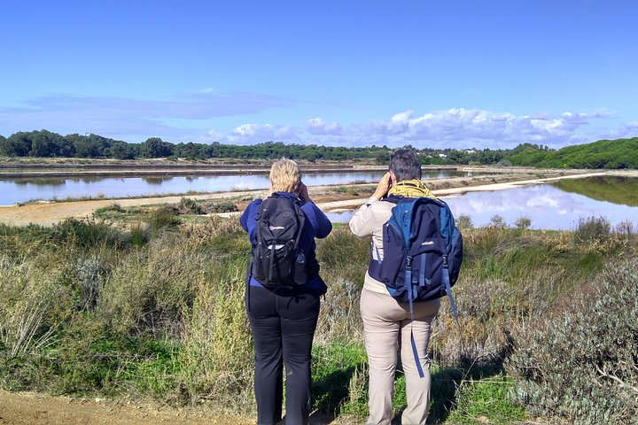 Watching_blue_skies_birdwatching_algarve