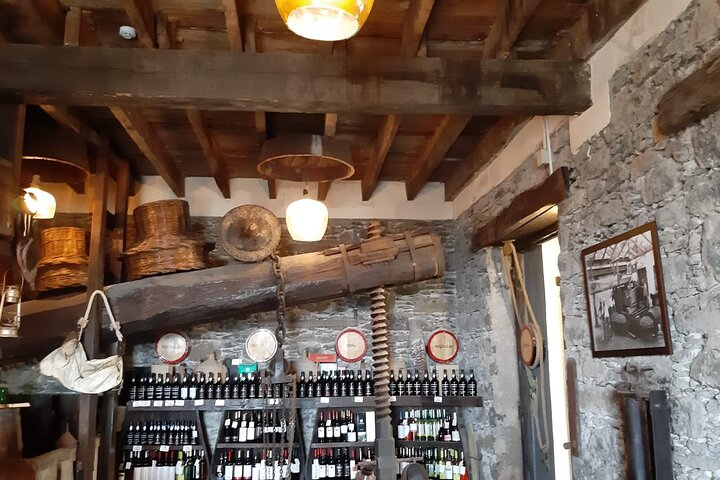 Weekends Madeira Wine Tasting São Vicente - Photo 1 of 14