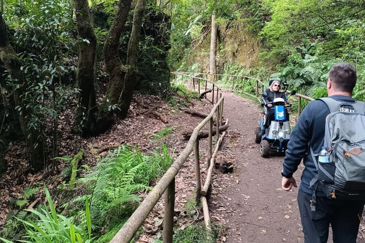 Wheelchair Tour Levada Off Road Scooter - Photo 1 of 25