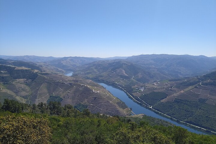 Vinho Verde & Douro Tour
